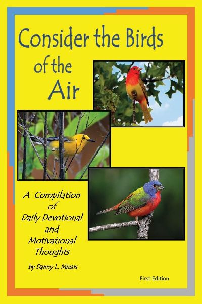 Consider the Birds of the Air