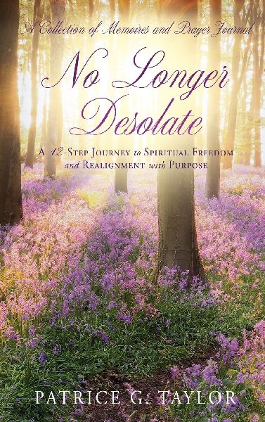 No Longer Desolate: A 12-Step Journey to Spiritual Freedom and Realignment with Purpose