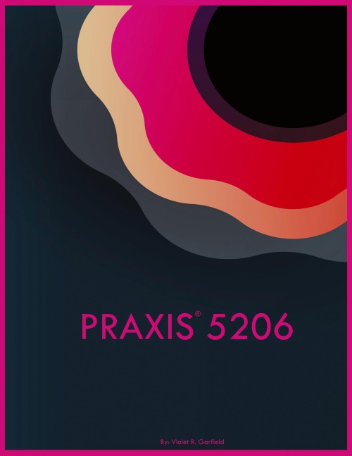 PRAXIS 5206