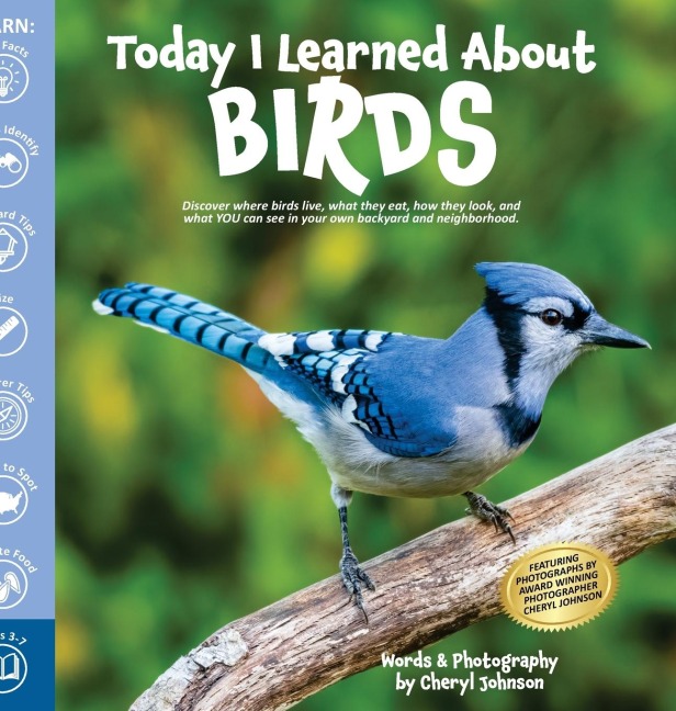 Today I Learned About Birds: Discover where birds live, what they eat, how they look, and what YOU can see in your own backyard and neighborhood.