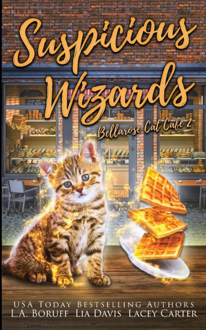 Suspicious Wizards: A Paranormal Women's Fiction Cozy Mystery