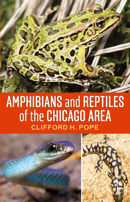 Amphibians and Reptiles of the Chicago Area