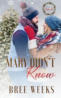Mary Didnt Know: A Holiday, Instalove Romance