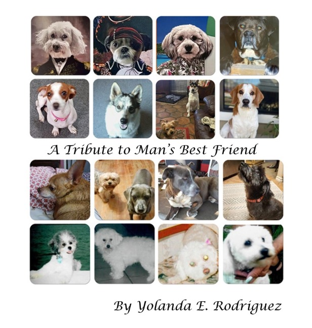 A Tribute to Mans Best Friend