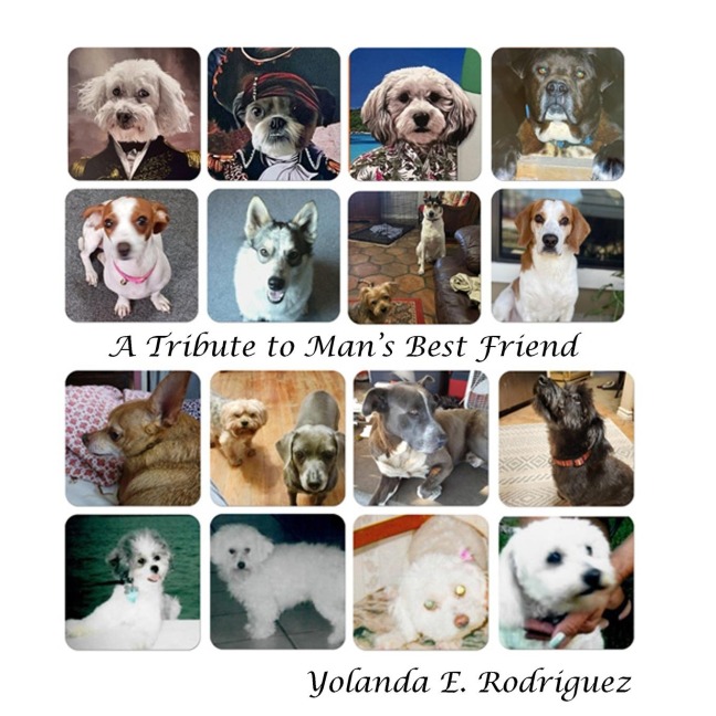 A Tribute to Mans Best Friend