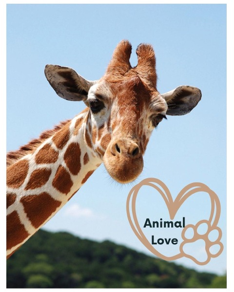 Animal Love: A picture book for Seniors with dementia or Alzheimers patients. Cute photos of animals with uplifting quotes in large print.