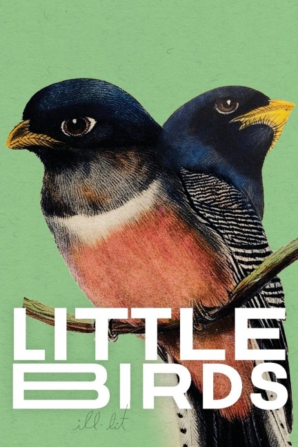 Little Birds 2 (green): 2 (green)