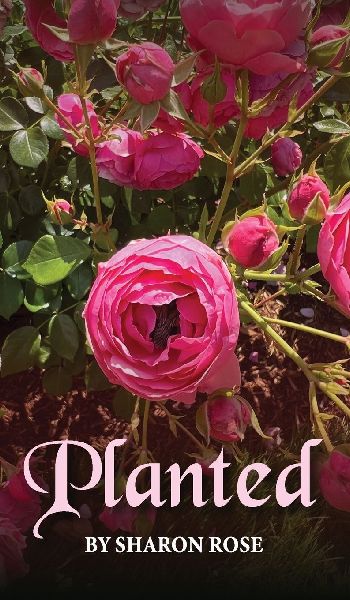 Planted