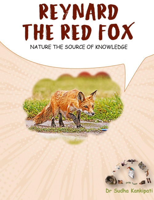 REYNARD - THE RED FOX: Nature The Source of Knowledge