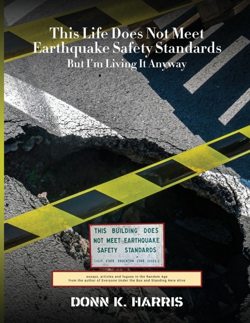 This Life Does Not Meet Earthquake Safety Standards But Im Living It Anyway