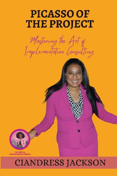 Piccaso of the Project: Mastering the Art of Implementation Consulting