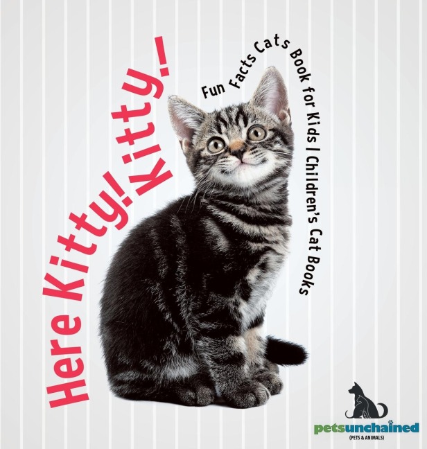 Here Kitty! Kitty! | Fun Facts Cats Book for Kids | Childrens Cat Books