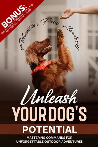 Unleash Your Dog's Potential Mastering Commands For Unforgettable Outdoor Adventures