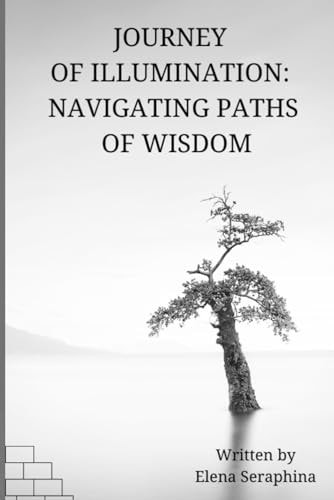 Journey of Illumination Navigating Paths of Wisdom