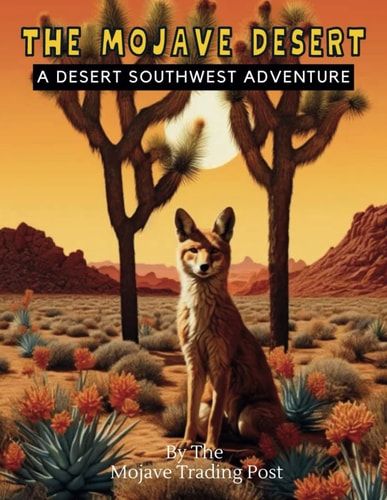 The Mojave Desert A Desert Southwest Coloring Adventure