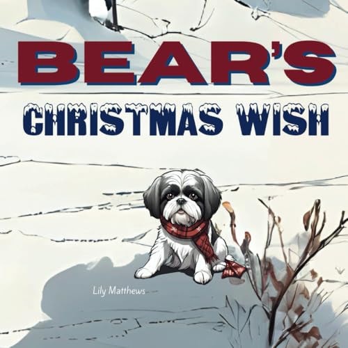 Bear's Christmas Wish