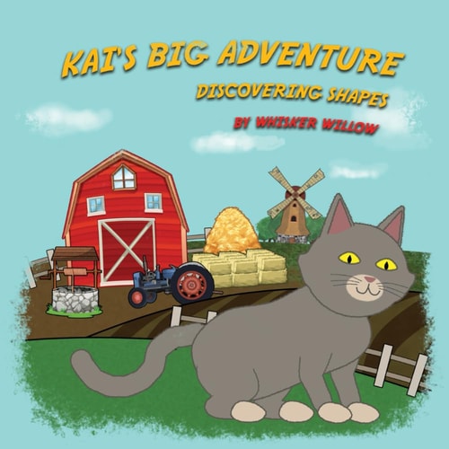 Kai's Big Adventure Discovering Shapes