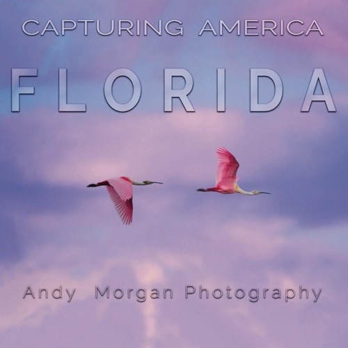 Capturing America - Florida