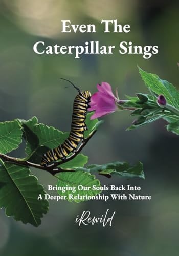 Even The Caterpillar Sings Bringing Our Souls Back Into A Deeper Relationship With Nature