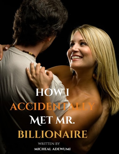How I Accidentally Met Mr. Billionaire When Fate Introduces You to Mr. Billionaire