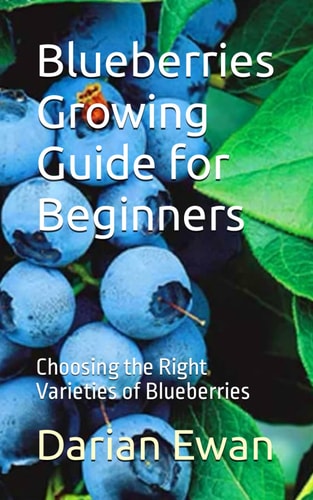 Blueberries Growing Guide for Beginners Choosing the Right Varieties of Blueberries