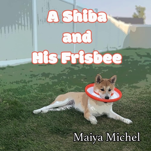 A Shiba and His Frisbee
