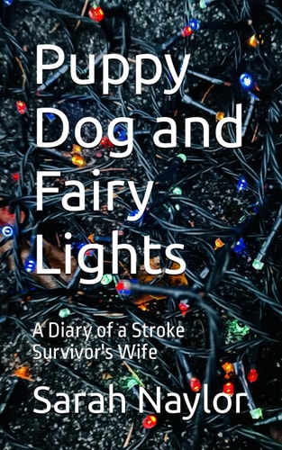 Puppy Dog and Fairy Lights A Diary of a Stroke Survivor's Wife