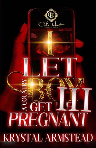 I Let A Country Boy Get Me Pregnant 3 An African American Romance: The Finale
