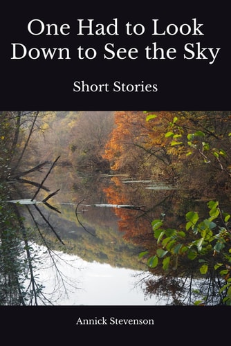 One Had to Look Down to See the Sky Short Stories