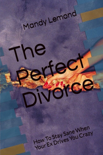 The Perfect Divorce How To Stay Sane When Your Ex Drives You Crazy