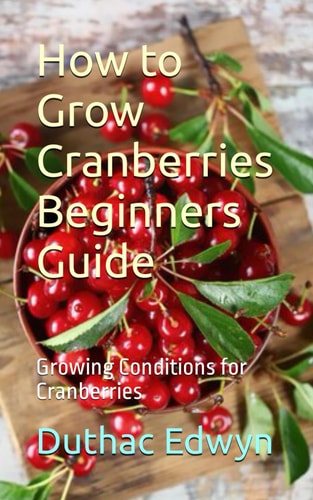 How to Grow Cranberries Beginners Guide Growing Conditions for Cranberries