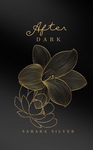 After Dark A Paranormal Erotic Novella