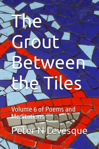 The Grout Between the Tiles Volume 6 of Poems and Meditations