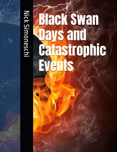Black Swan Days and Catastrophic Events