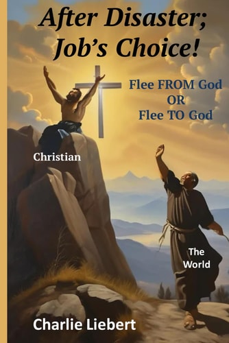 After Disaster; Job's Choice Flee FROM God OR Flee TO God