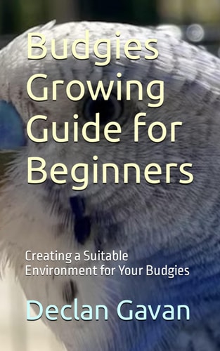 Budgies Growing Guide for Beginners Creating a Suitable Environment for Your Budgies