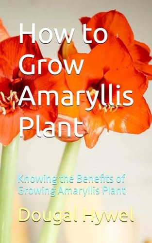 How to Grow Amaryllis Plant Knowing the Benefits of Growing Amaryllis Plant