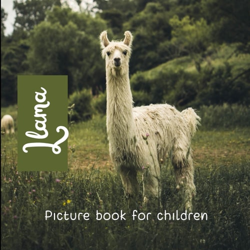 Llama Picture Book for Children