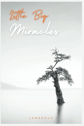 Little Big Miracles A Guide to Cultivating a Fulfilling Life Through the Art of Giving