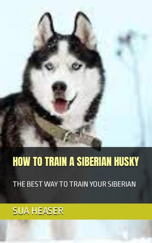 HOW TO TRAIN A SIBERIAN HUSKY The Best Way to Train Your Siberian