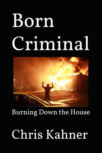 Born Criminal Burning Down the House