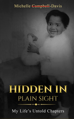 Hidden in Plain Sight My Life's Untold Chapters