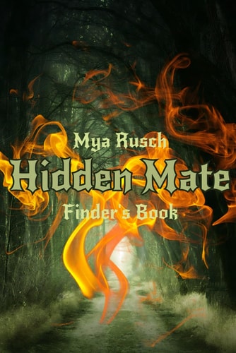 Hidden Mate Finder's Series