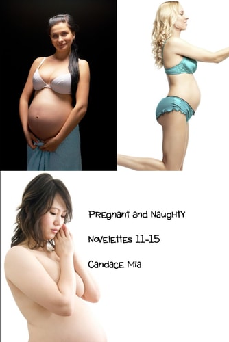 Pregnant and Naughty Novelettes 11-15