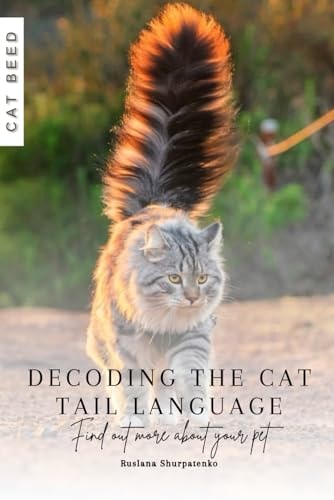Decoding the Cat Tail Language Find Out More about Your Pet