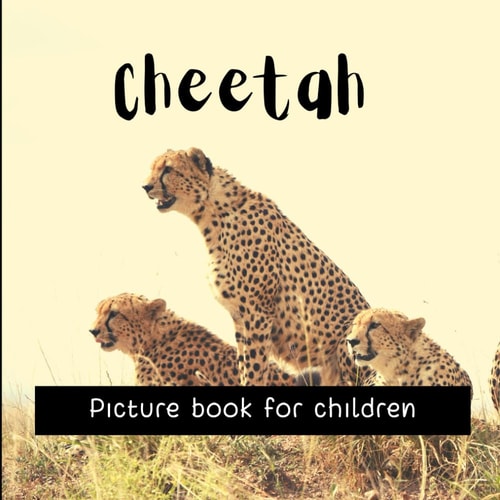 Cheetah Picture Book for Children