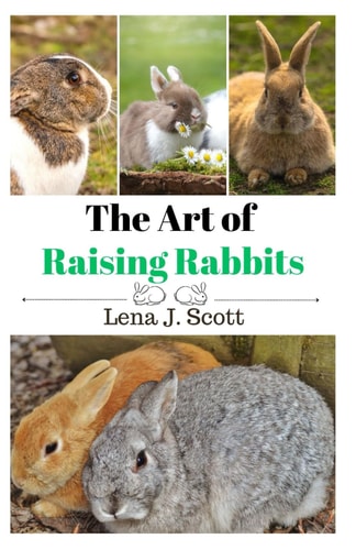 The Art of Raising Rabbits The Ultimate Homesteaders Guide on How to Raise Happy Rabbits, with Care, Feeding, Health and Breeding (Step by Step Guide)
