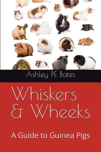 Whiskers & Wheeks A Guide to Guinea Pigs