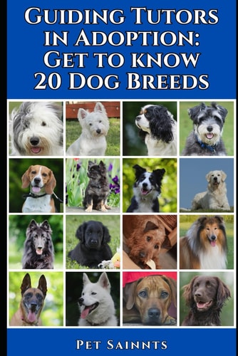 Guiding Tutors in Adoption Get to Know 20 Dog Breeds