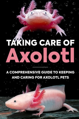 Taking Care Of Axolotl A Comprehensive Guide to Keeping and Caring for Axolotl Pets: How to Take Care of an Axolotl